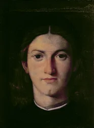 Portrait of a Young Man, 1505